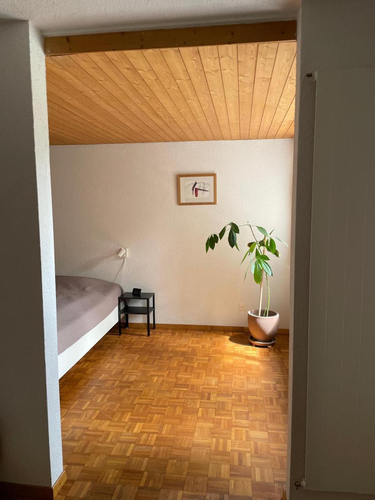 2.5 Zimmerwohnung, Pinut Trin Luaran gambar